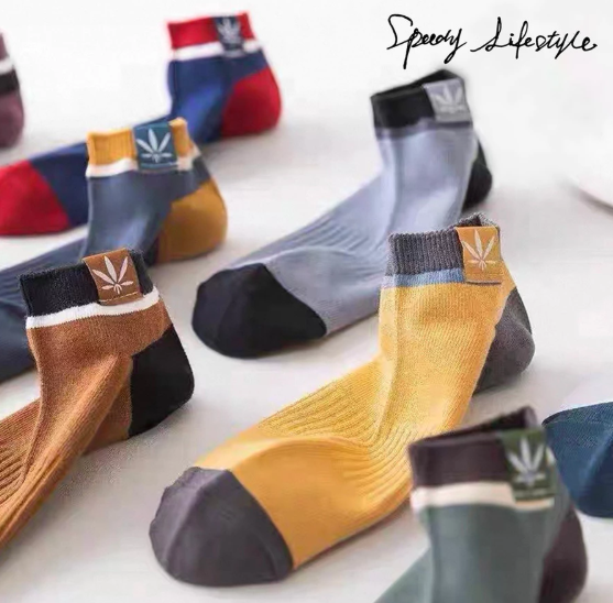 10 Pairs Cotton Socks